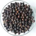 Wacholderbeeren im Glas